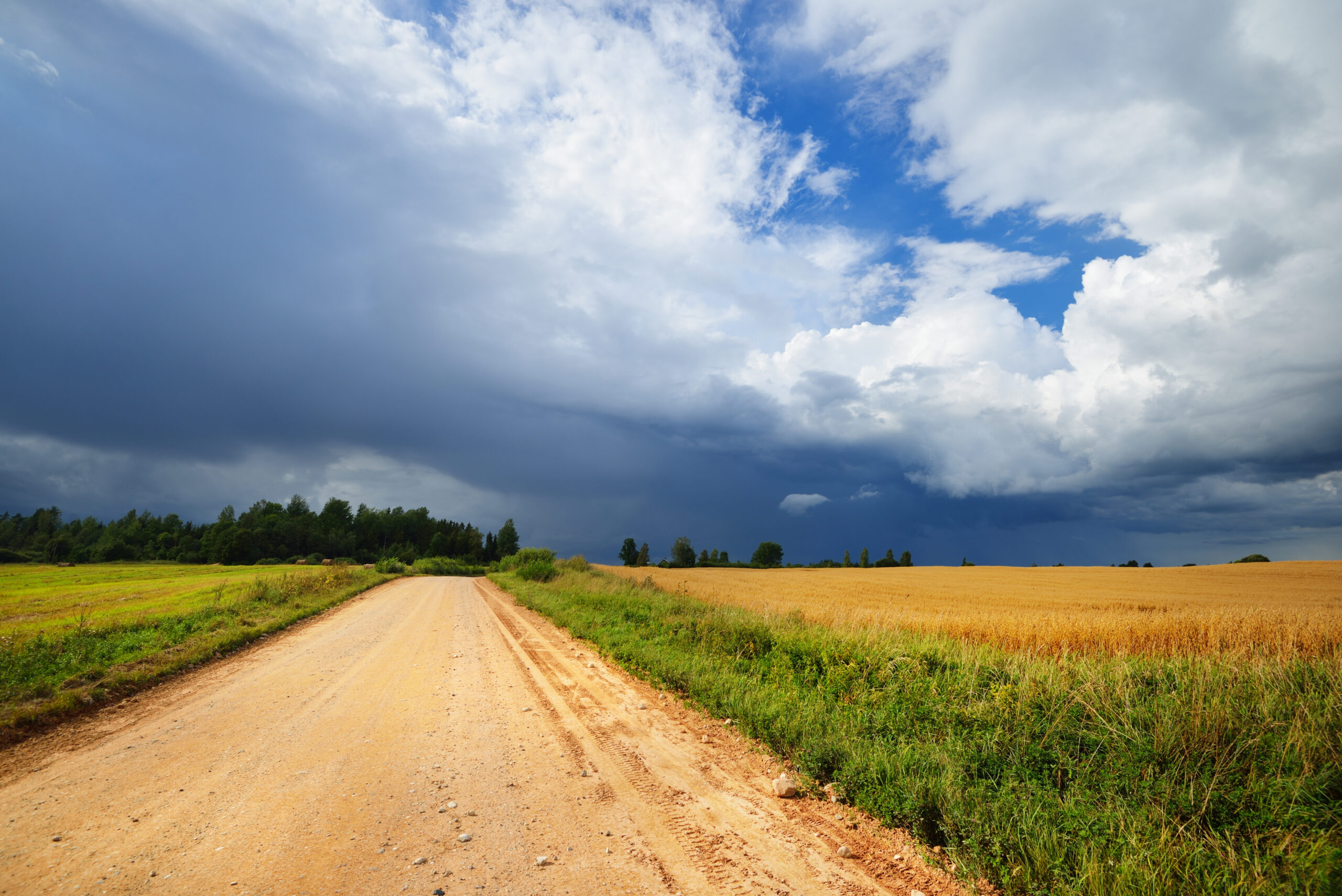 Road and cereal field against dark stormy clouds