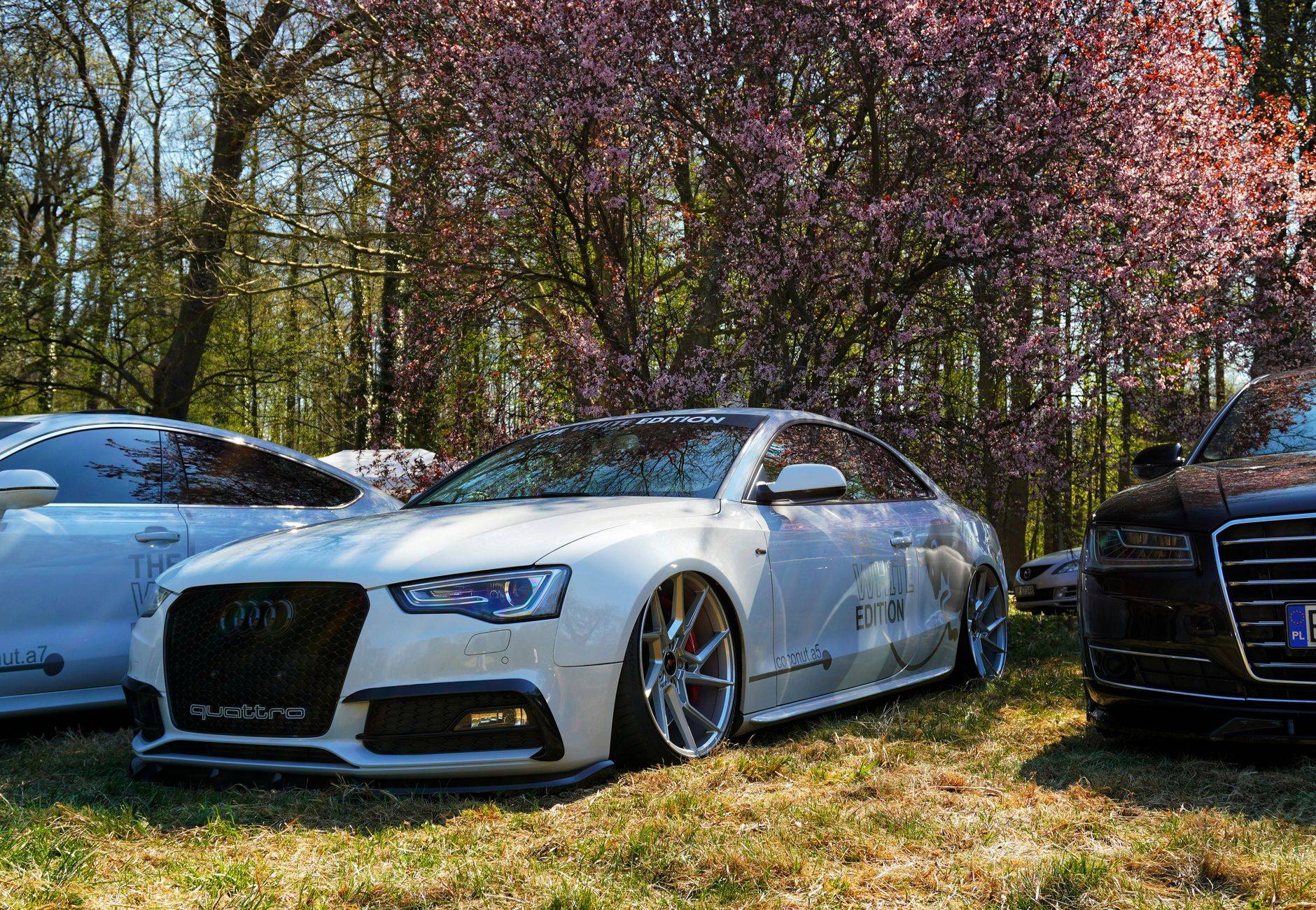 roadshow car rental india, corporate car rental india, luxury car hire for roadshows, event car rental india, roadshow vehicle branding, corporate roadshow transport india